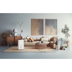 Royal Clima RD-PC40-E PACIFIC Villa осушитель воздуха